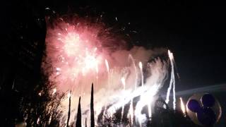 Disneyland New Years Eve 2014  Its a Small World DJ Party [upl. by Hinze]