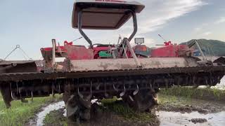 SOIL PUDDLING RICE FIELD USING ROTAVATOR  PATUBIG SA PALAYAN [upl. by Dulce]