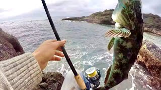 Lingcod Fishing From CLIFFS On The Oregon Coast CATCH amp COOK Lingcod [upl. by Neal]