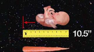 Fetal Development Week 21 Pregnancy Health Guru [upl. by Whitby834]