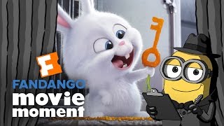 Brian the Minion watches The Secret Life of Pets  Fandango Movie Moment 2016 [upl. by Nea]