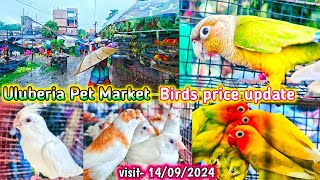 Uluberia pet market  Birds pirce updated 14092024 Uluberia pakhir haat cheapest sale viral [upl. by Lussi]