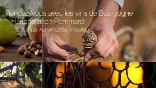 Pommard  l’appellation vue par Aubert Lefas [upl. by Nedry528]