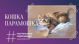 Кошка Парамошка • Пастельные карандаши • Cat Paramoshka • Pastel pencils [upl. by Suqram]