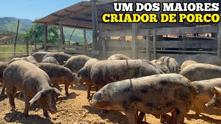 ELE COMEÇOU COM 4 PORCOS HOJE É UM DOS MAIORES CRIADOR DA REGIÃO [upl. by Gino435]