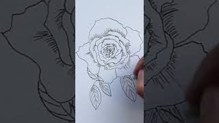 Ink amp Watercolour Rose with Brusho  Choosing background colours for your flower painting [upl. by Bertine261]