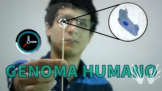 Descubriendo el Genoma Humano ft En 1 Minuto [upl. by Mattland]