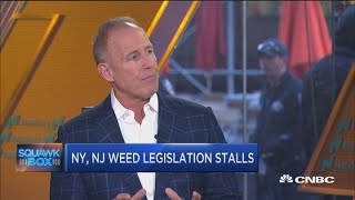 Recreational marijuana use will eventually be legalized Cannabis company CEO [upl. by Neroled]