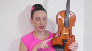 Stentor Student Standard 1018A Violin Review [upl. by Fridlund]