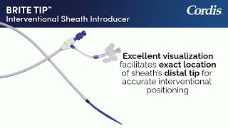 BRITE TIP™ Sheath Introducer provides excellent visualization [upl. by Derfniw]