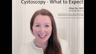 What is Cystoscopy Explained by Elise De MD [upl. by Runck]