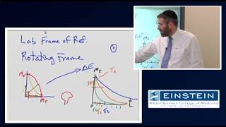 Introducing MRI Transverse Magnetization Relaxation 10 of 56 [upl. by Nnaillij]