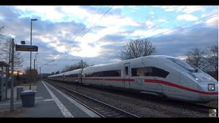 Umleiterverkehr auf der Donautalbahn und der Riesbahn am 170224  AL  219002024 [upl. by Trevah530]