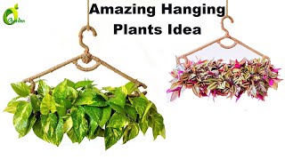 Easy Hanging Planter Making With Waste Materials Hanging Plant Idea For HomePlantsORGANIC GARDEN [upl. by Rycca204]