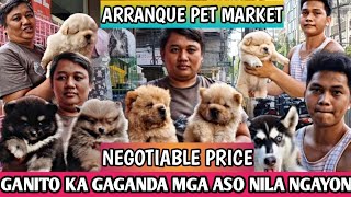 BAGONG DATING DAMING MAGAGANDANG ASO NGAYON SA ARRANQUE PET MARKET [upl. by Avilys180]