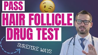 Guaranteed Ways to Pass a Hair Follicle Drug Test  Green Fleets [upl. by Vange]