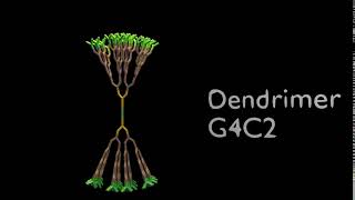 G4C2 Dendrimer animation [upl. by Coltin]