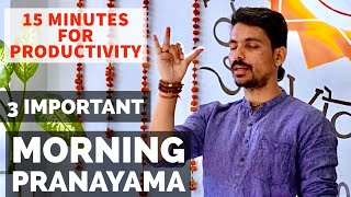 15 MINUTES PRANAMAYA  MORNING PURIFICATION PRANAYAMA  PRANAYAMA FOR BEGINNERS [upl. by Nelubez]