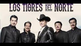 Los Tigres Del Norte  Camisa Mojada [upl. by Glavin]