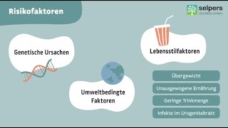 Risikofaktoren für die Entstehung von Harn und Nierensteinen Expertin erklärt [upl. by Isabel]