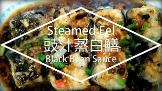 Catch amp Cook Traditional Authentic Chinese Steamed Eel with Black Bean Sauce 豉汁蒸白鱔 [upl. by Aznarepse]