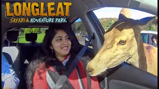 LONGLEAT SAFARI PARK  DRIVE THROUGH  SAFARI PARK  UK 2019  THE TRAVEL COUPLE [upl. by Anairotciv79]