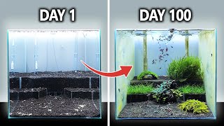 The Shrimp Wonderland Shrimp Tank Setup for Caridina Step By Step with Mini Aquascape [upl. by Moynahan]