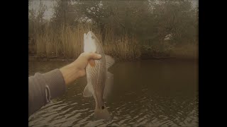 Kayak fishing Pascagoula and Gautier Ms [upl. by Nobel]