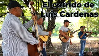 El corrido de Luis Cárdenas  Los Rancheritos de Michoacán [upl. by Notlrac]