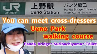 crossdresser☆A walking course in Ueno Park in Tokyo [upl. by Mela]