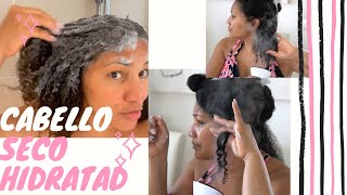 Como HIDRATAR el cabello AFRO rizado de porosidad baja [upl. by Ximena]