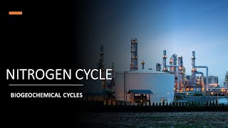 NITROGEN CYCLE  BIOGEOCHEMICAL CYCLES NUTRIENT CYCLES ENVIRONMENTALAPPLIEDSOIL MICROBIOLOGY [upl. by Dich570]