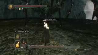 Dark Souls II  Everything different in NGBrightstone Cove Tseldora [upl. by Trstram]