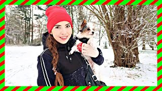 VLOGMAS 3 2020 SPADŁ ŚNIEG GlamPaula [upl. by Yelsha]