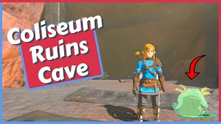 Coliseum Ruins Cave Guide Bubbul Frog Location in Zelda Tears of the Kingdom [upl. by Nauq]