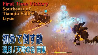 【原神】初めて倒す敵璃月天穹の谷 南東 First Time VictorySoutheast of Tianqiu ValleyLiyue15906 [upl. by Ardelia]