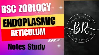 WHAT IS ENDOPLASMIC RETICULUM [upl. by Ahsetan227]