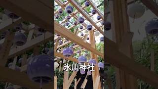 川越暑くてビールが美味すぎた川越氷川神社 食べ歩き [upl. by Ajet]