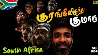 🦍 உலகின் முதல் மனிதன் யார் 🏃‍♂️ 🇿🇦South Africa ep4 [upl. by Ahsaetan]