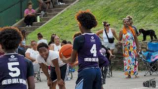 Division 3 Championship 2024 Coatesville Summer League Purple vs White [upl. by Notsle]