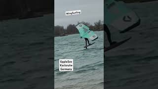 WingSurfingepplessee rheinstettenkarlsruhe germanytravelvlogshort [upl. by Arraic]