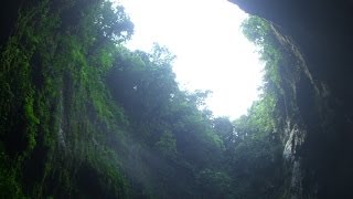 Parque De Las Cavernas CamuyHatilloLares Puerto Rico North America [upl. by Lednor956]