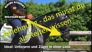 F27 Pferde mit feiner Anlehnung am Zügel reiten lernen Kriterien Fehler Die feine Zügelhilfe [upl. by Rapsac]