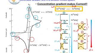 EC2b2 The Overview of Electroanalytical Methods Part 2 [upl. by Aikaj]