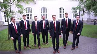 Das Vokalensemble quotHohes Cquot bei den Salzburger Kulturtagen 2018 [upl. by Annahsit526]