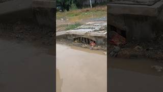 Hard Work With Mini Tool Unclogged Culvert unclog cloggeddrain drain shorts [upl. by Imerej298]