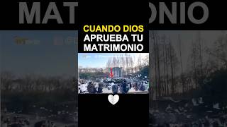 Dios Bendice el Matrimonio Palomas Blancas Rodean a la Pareja en su Propuesta [upl. by Elwira]