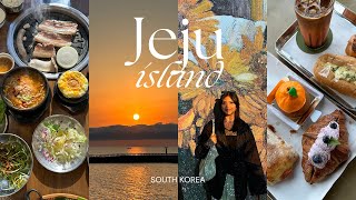 korea vlog JEJU island 🏝️ cafes what i ate llama ranch osulloc tea museum snoopy garden amp more [upl. by Ellga592]