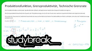 Produktionsfunktion Grenzproduktivität Technische Grenzrate  Volkswirtschaftslehre [upl. by Charlet369]