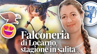 🦅😃 Inizio in salita per la Falconeria di Locarno 🦁💙 però spuntano «Pagine alate» 🦉🪺 [upl. by Dalli]